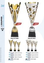 PAGE 034 - GAMME LASER