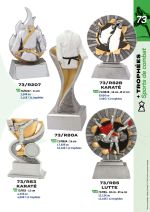 PAGE 073 - TROPHEES ARTS MARTIAUX