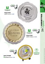 PAGE 103 ASSIETTES A GRAVER